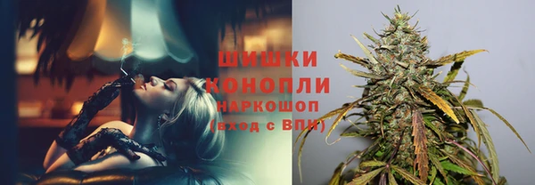 СК Богородицк