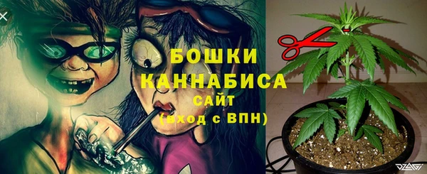 дурь Богородск