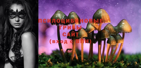 СК Богородицк
