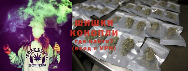 СК Богородицк